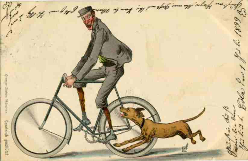 Hund jagt einem Radfahrer nach